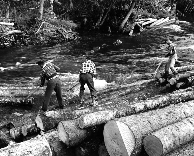 Log drive wood in Canada