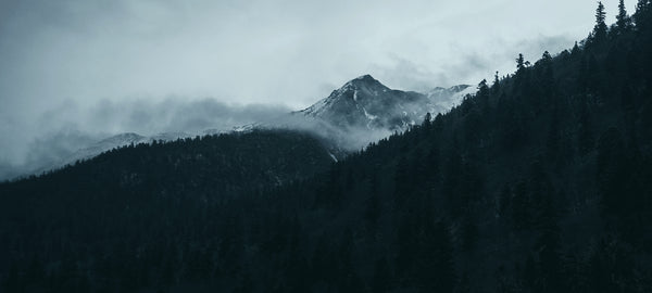 Into the Woods as an escape from overstimulation?